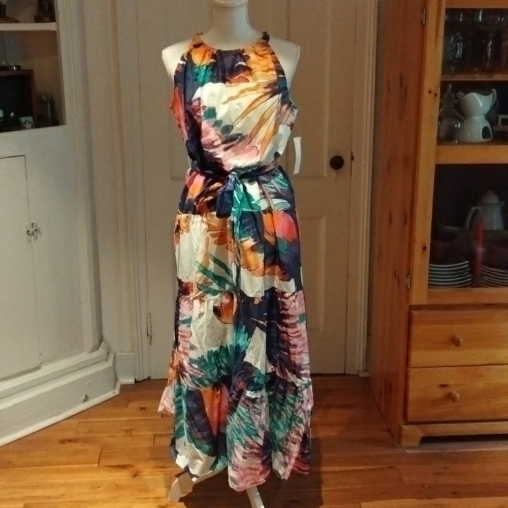 Isabel & Nina Sleeveless Tropical Print Maxi Dress